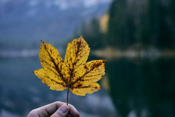 Sommerwoche mit Z-Ticket zum Sondertarif im Herbst